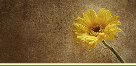 Hiland Crossings Home Owners Association